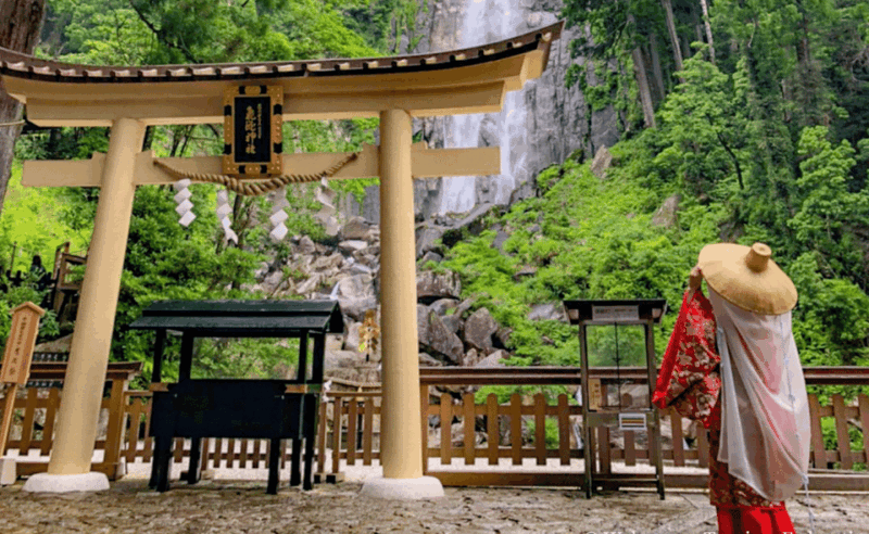 From Osaka/Kyoto: Mount Koya & Wakayama Private Day Trip . - Itinerary Highlights