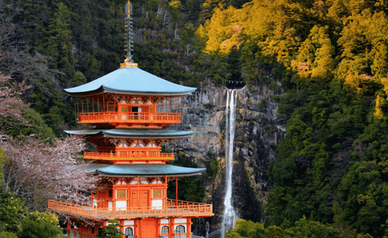 From Osaka/Kyoto: Mount Koya & Wakayama Private Day Trip . - Cultural Experience