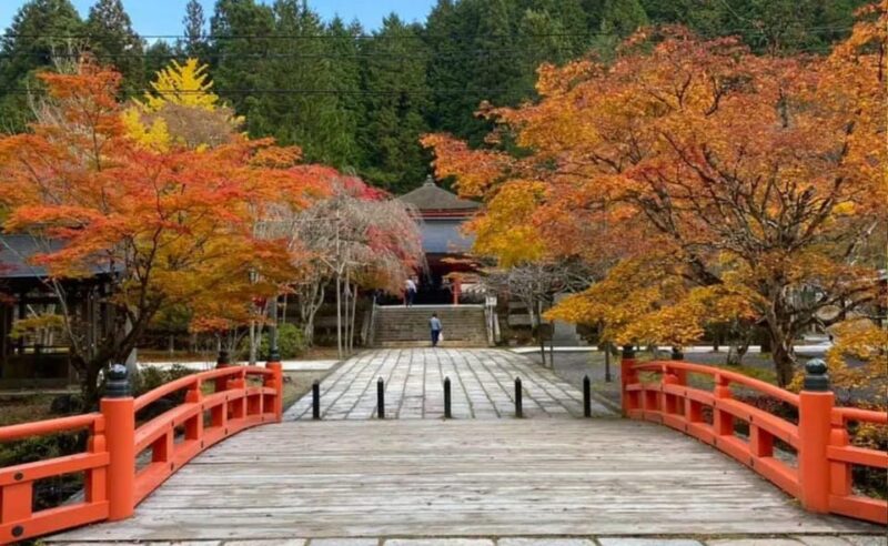 From Osaka/Kyoto: Mount Koya & Wakayama Private Day Trip . - Transportation and Guide