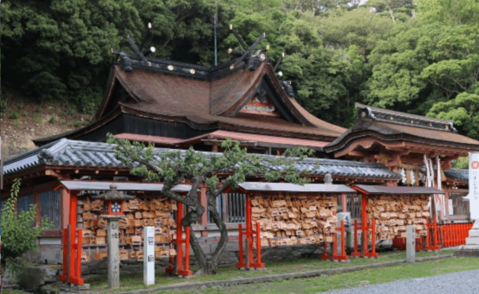 From Osaka/Kyoto: Mount Koya & Wakayama Private Day Trip . - Customer Reviews and Feedback