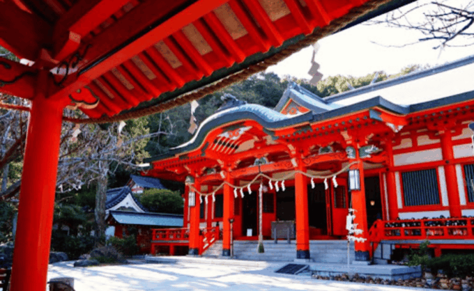 From Osaka/Kyoto: Mount Koya & Wakayama Private Day Trip . - Tour Inclusions and Pricing