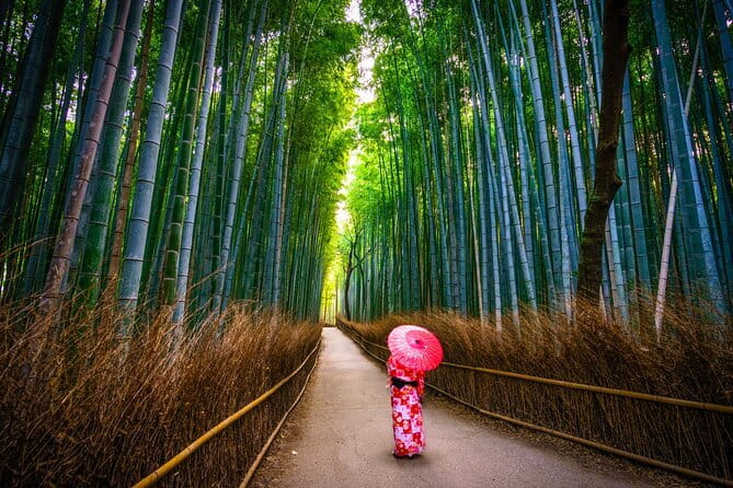 From Osaka: Kyoto Must-see Spots & Nara Park Sightseeing Day Tour - Immerse in the Beauty of Arashiyama Bamboo Grove