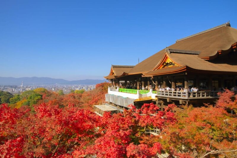From Osaka : Kyoto Nara 1-Day Bus Tour - Key Points