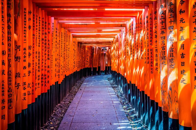 From Osaka : Kyoto Nara 1-Day Bus Tour - Key Attractions