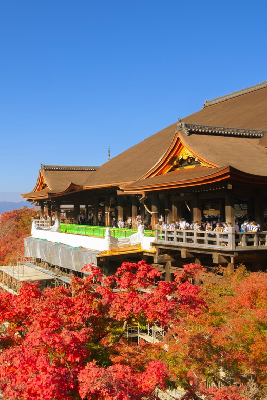 From Osaka : Kyoto Nara 1-Day Bus Tour - Nara Park