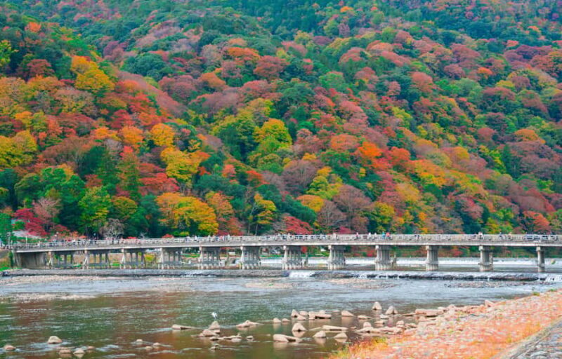 From Osaka/Kyoto: Nara & Kyoto Day Trip - Temples & Deer - Key Points