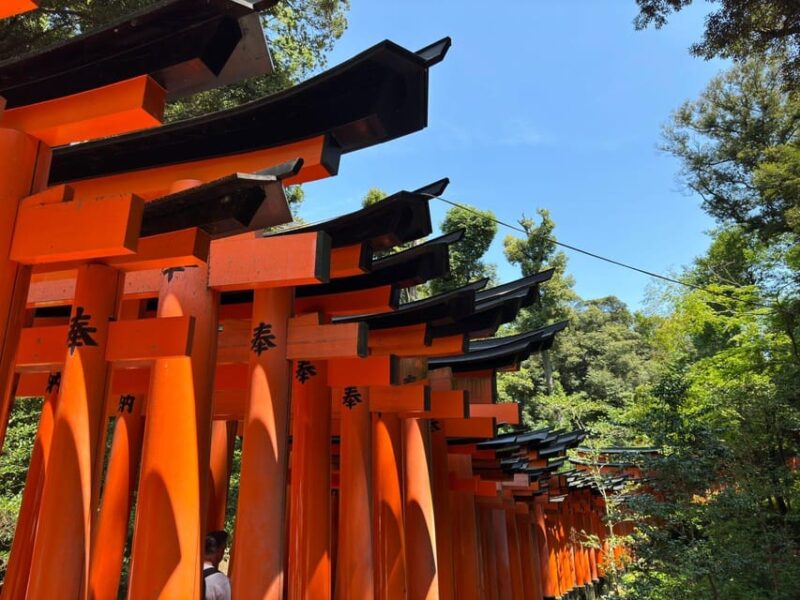 From Osaka: Kyoto & Nara One-Day Private Tour - Nara Park