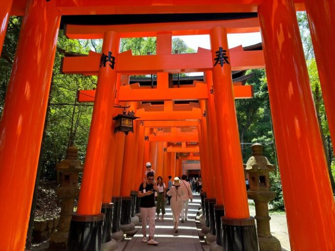 From Osaka: Kyoto & Nara One-Day Private Tour - Customizable Itinerary