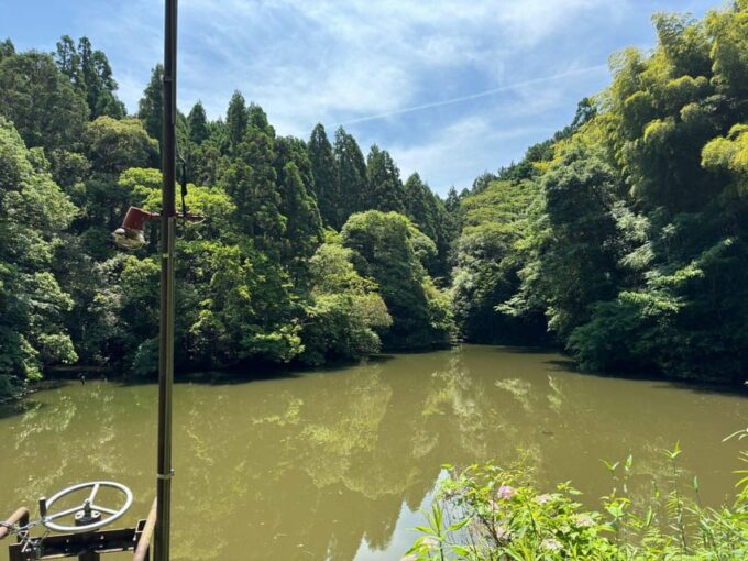 From Osaka: Kyoto & Nara One-Day Private Tour - Inclusions and Exclusions