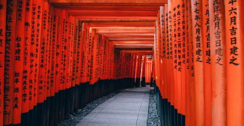 From Osaka/Kyoto: Private Kyoto & Nara Day Trip With Pickup - Discovering Nara Park