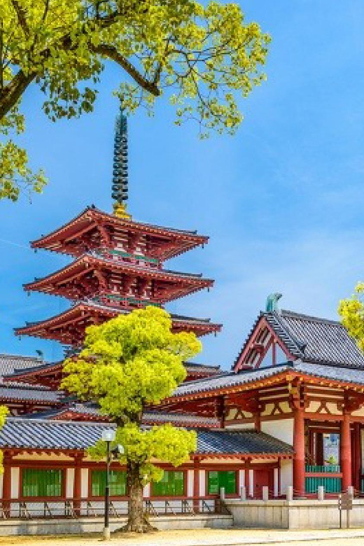 From Osaka/Kyoto : Private Osaka Day Trip W/Pickup & Dropoff - Accessibility and Requirements
