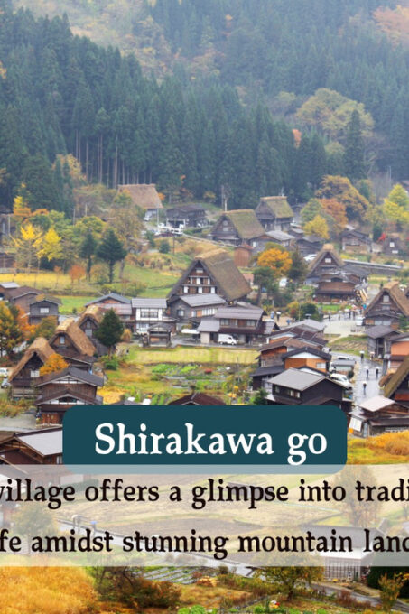 From Osaka/Kyoto: Shirakawago and Takayama Day Trip - History and Culture From Local Guides