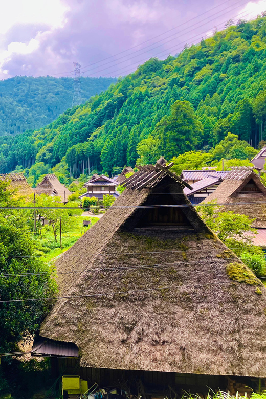 From Osaka: Kyoto Thatched Roof Village Private Car Tour - Experience Highlights