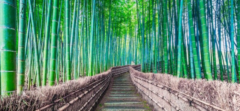 From Osaka: Kyoto Tour With Kinkaku-Ji and Byodoin Tickets - Pricing and Booking