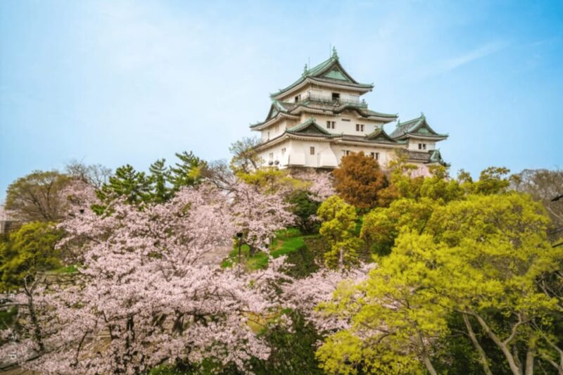 From Osaka/Kyoto:Mount Koya, Wakayama & Nachi Waterfall Trip - Option 2: With Nachi Waterfall