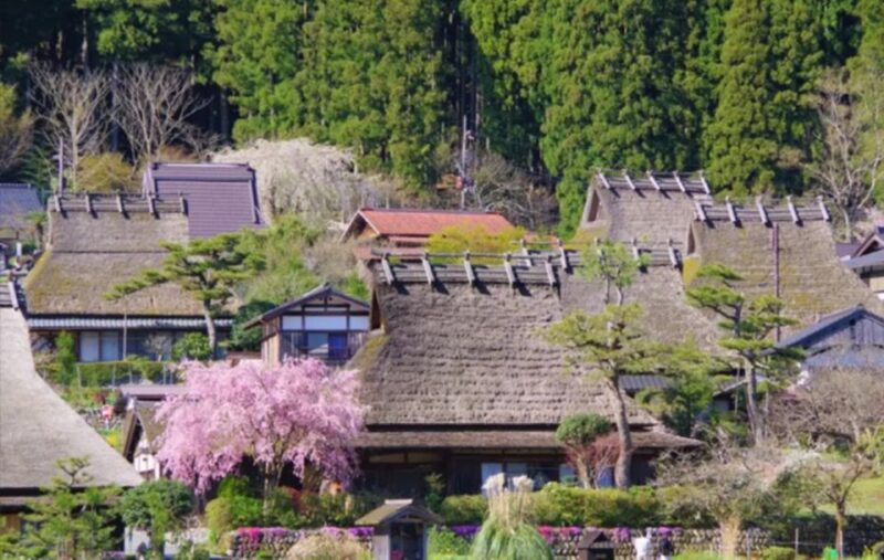 From Osaka: Miyama Village, Ine Bay & Amanohashidate Tour - Amanohashidate Monorail Ride