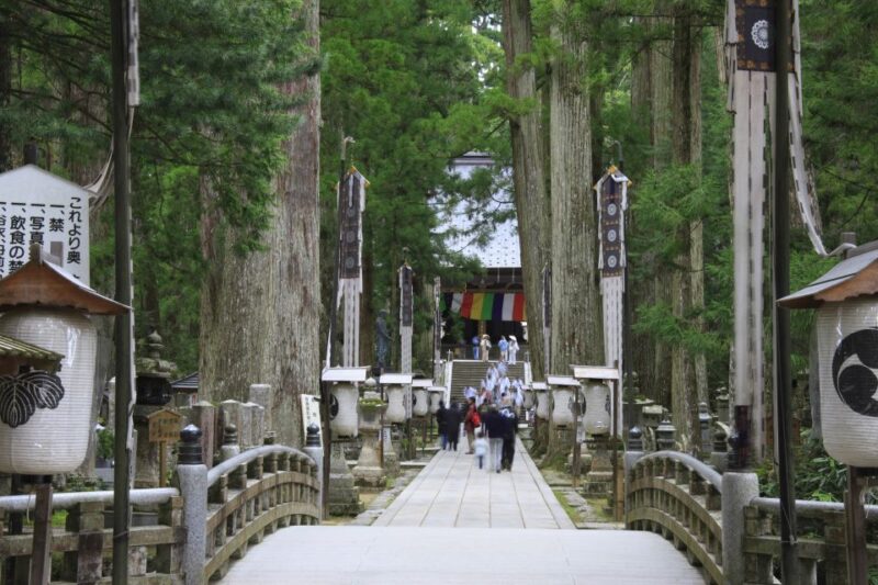 From Osaka: Mt. Koya Private Walking and Train Tour - Highlights of Mt. Koya