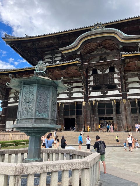 From Osaka: Nara Private Car Tour With Hotel Pickup - Wandering Through Nara Park