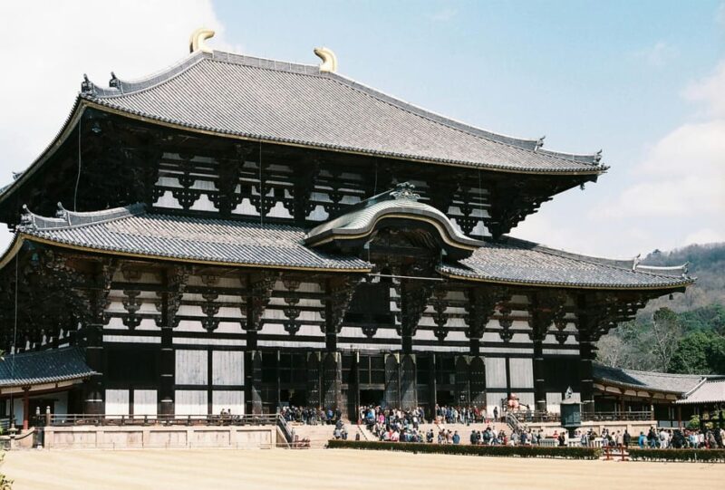 From Osaka: Nara Private Customizable Day Tour - Exploring Nara Park and Deer Interaction