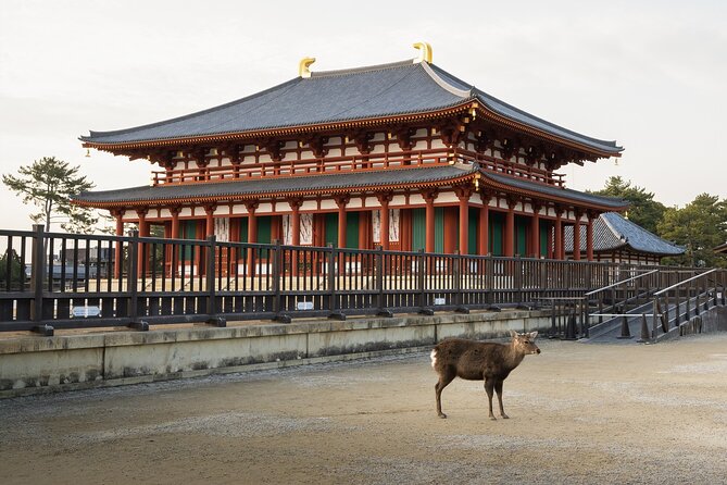 From Osaka, Nara Private Customizable Day Tour - Pickup and Communication