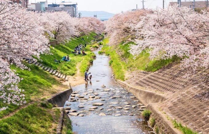 From Osaka: Nara, Uji Matcha Experience and Hot Spring Tour - Important Considerations