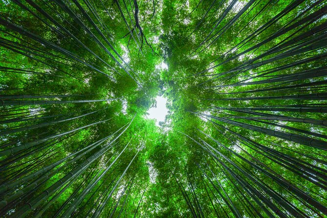 From Osaka or Kyoto: Full Day Sightseeing Tour of Kyoto - Cancellation and Booking Policy
