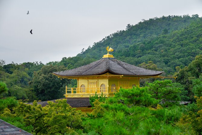 From Osaka or Kyoto: Full Day Sightseeing Tour of Kyoto - Accessibility and Participation
