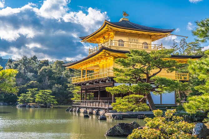 From Osaka or Kyoto: Full Day Sightseeing Tour of Kyoto - Highlights of the Tour