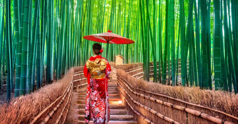 From Osaka or Kyoto: Kyoto and Nara Private Day Trip - Key Points