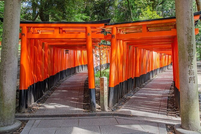 From Osaka or Kyoto One Day Sightseeing Tour of Kyoto - Key Points