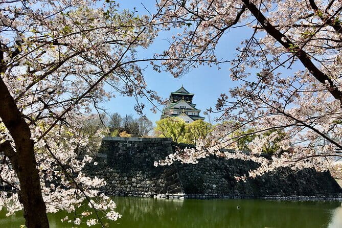 From Osaka or Kyoto One Day Sightseeing Tour of Kyoto - Highlights of the Tour