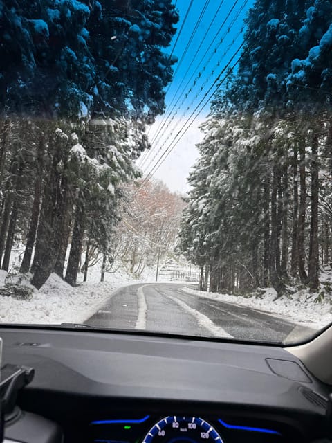 From Osaka or Kyoto: Private Shirakawa-go and Takayama Trip - Transportation and Accessibility