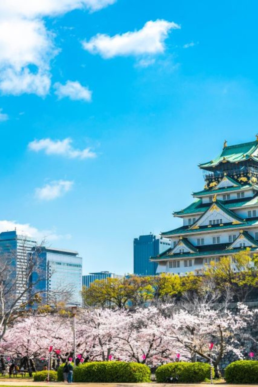 From Osaka: Private Customisable Osaka Full Day Tour By Car - Key Points