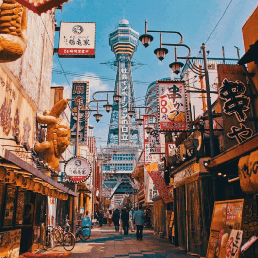 From Osaka: Private Customisable Osaka Full Day Tour By Car - Inclusions