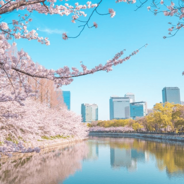 From Osaka: Private Customisable Osaka Full Day Tour By Car - Additional Information