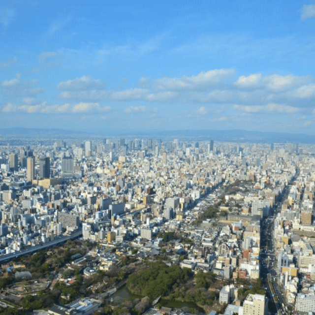 From Osaka: Private Customisable Osaka Full Day Tour By Car - Tour Duration