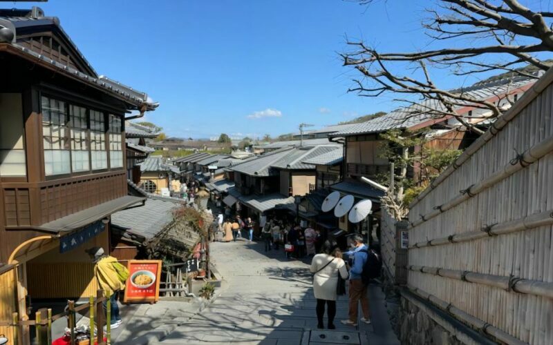 From Osaka: Private Customizable Day Tour to Kyoto - How the Tour Works and What You Can Expect