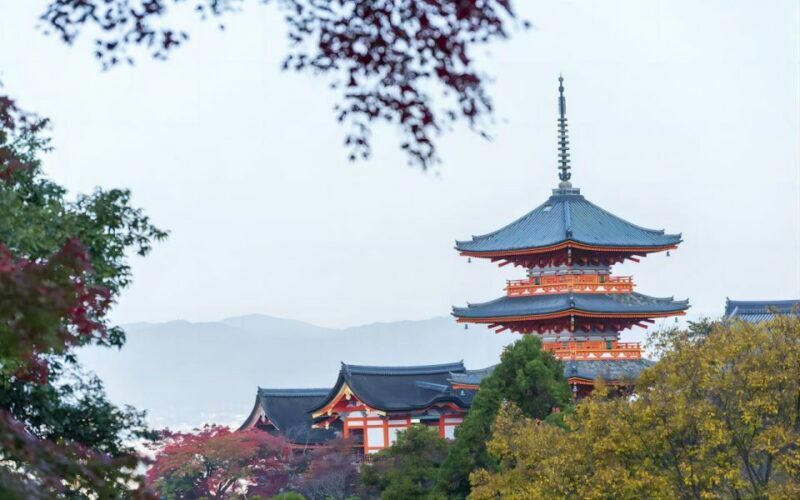 From Osaka: Private Customizable Day Tour to Kyoto - Who Will Love This Tour?