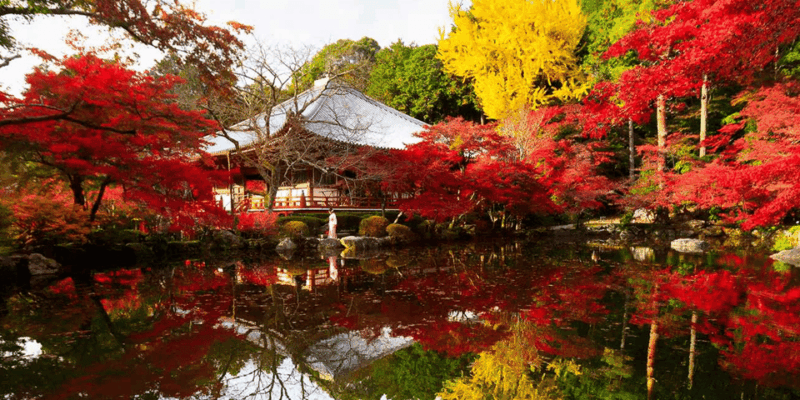 From Osaka: Private Customized Day Tour to Kyoto - Itinerary Highlights