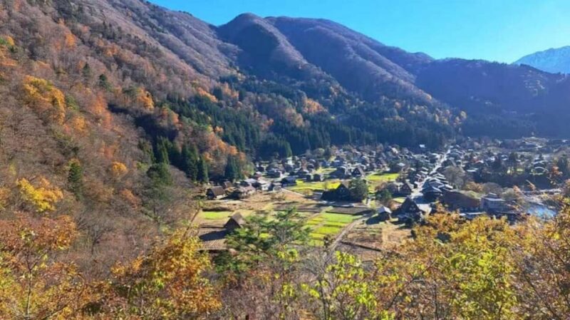 From Osaka: Private Shirakawa-go and Takayama Tour - Key Points