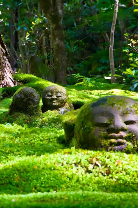 From Osaka to Kyoto: Arashiyama Bamboo Forest Tour - Recommendations