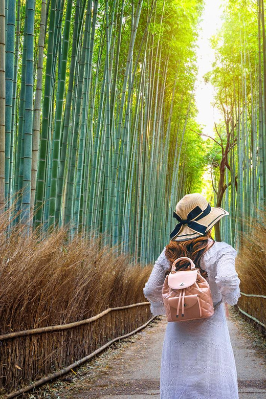 From Osaka:Kyoto&Nara Private Tour (English Speaking Driver) - Preparation and Customer Feedback