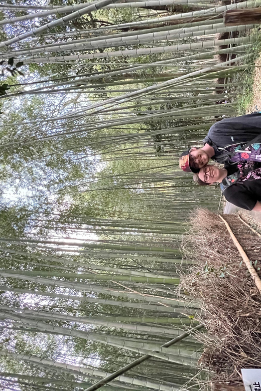 From Osaka:Private Custom Tour to Kyoto - Customizable Itinerary