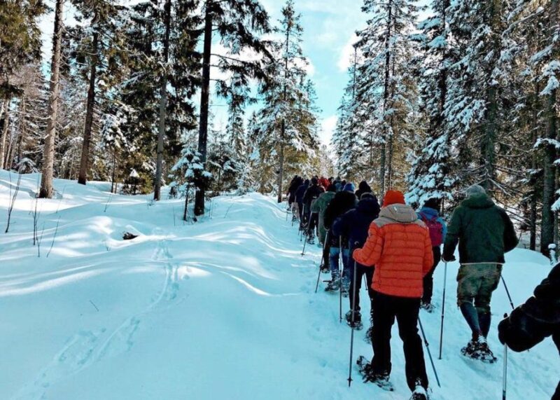 From Oslo: Oslomarka Forest Guided Snowshoeing Tour - Inclusions and Requirements