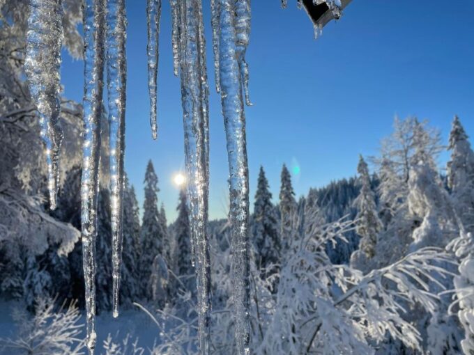 From Oslo: Oslomarka Forest Guided Snowshoeing Tour - Participant Considerations