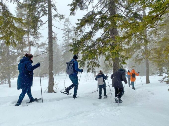 From Oslo: Oslomarka Forest Guided Snowshoeing Tour - Recap