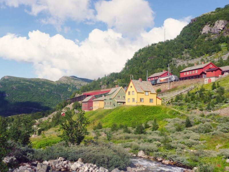 From Oslo: Private Round-Trip Tour to Sognefjord via Flåm - Tour Inclusions