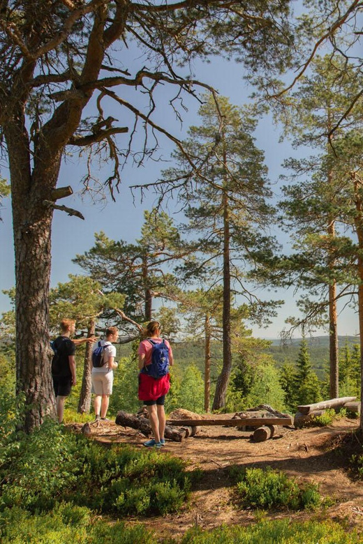 From Oslo: The Nordmarka Challenge! - Key Points