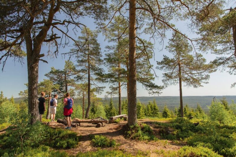 From Oslo: The Nordmarka Challenge! - Booking and Cancellation Policies