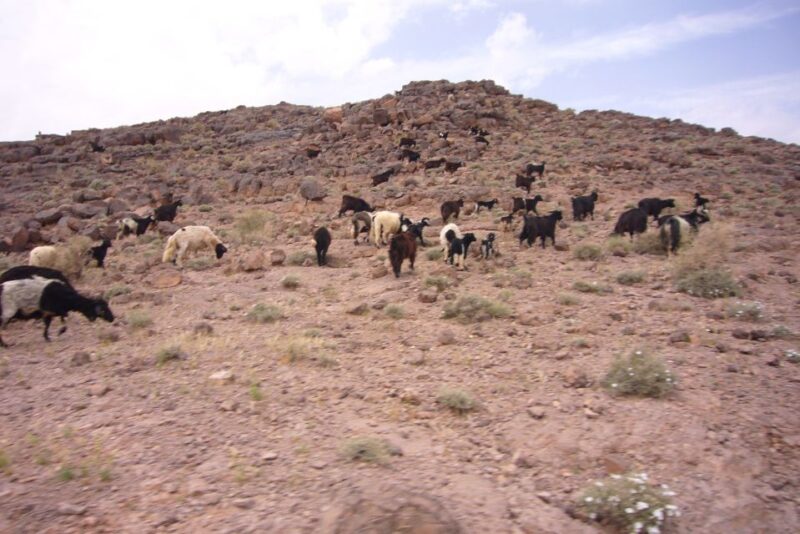 From Ouarzazate: 2-Day Erg Lihdoui and Mhamid Desert Tour - Itinerary Highlights
